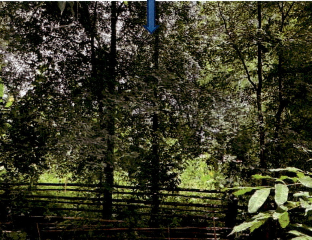 ที่ดินเปล่า ลำปาง แม่เมาะ แม่เมาะ 369000