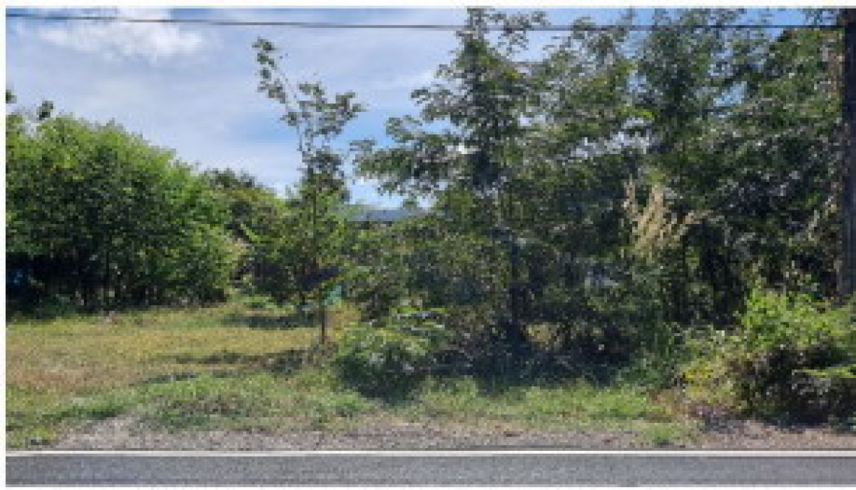 ที่ดินเปล่า อุบลราชธานี ตระการพืชผล โคกจาน 76941