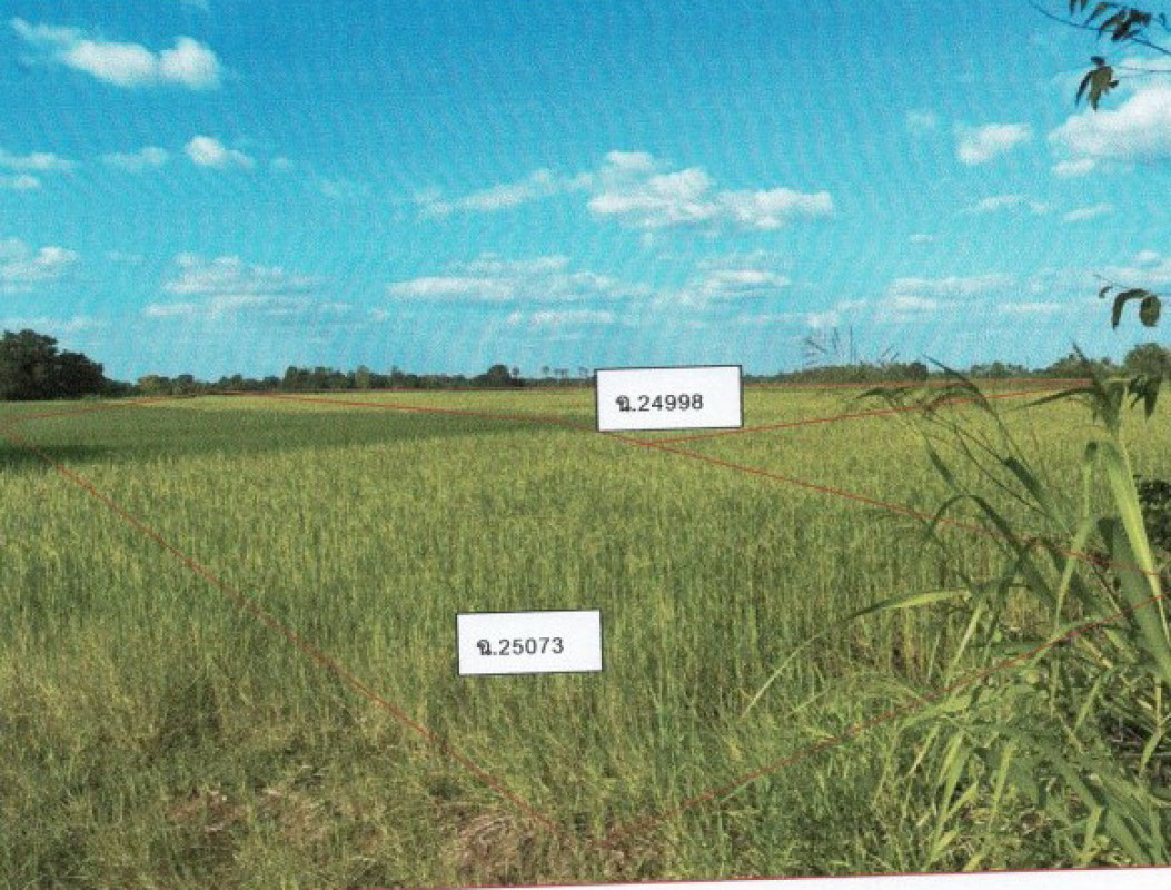 ที่ดินเปล่า อุบลราชธานี ม่วงสามสิบ ไผ่ใหญ่ 240660