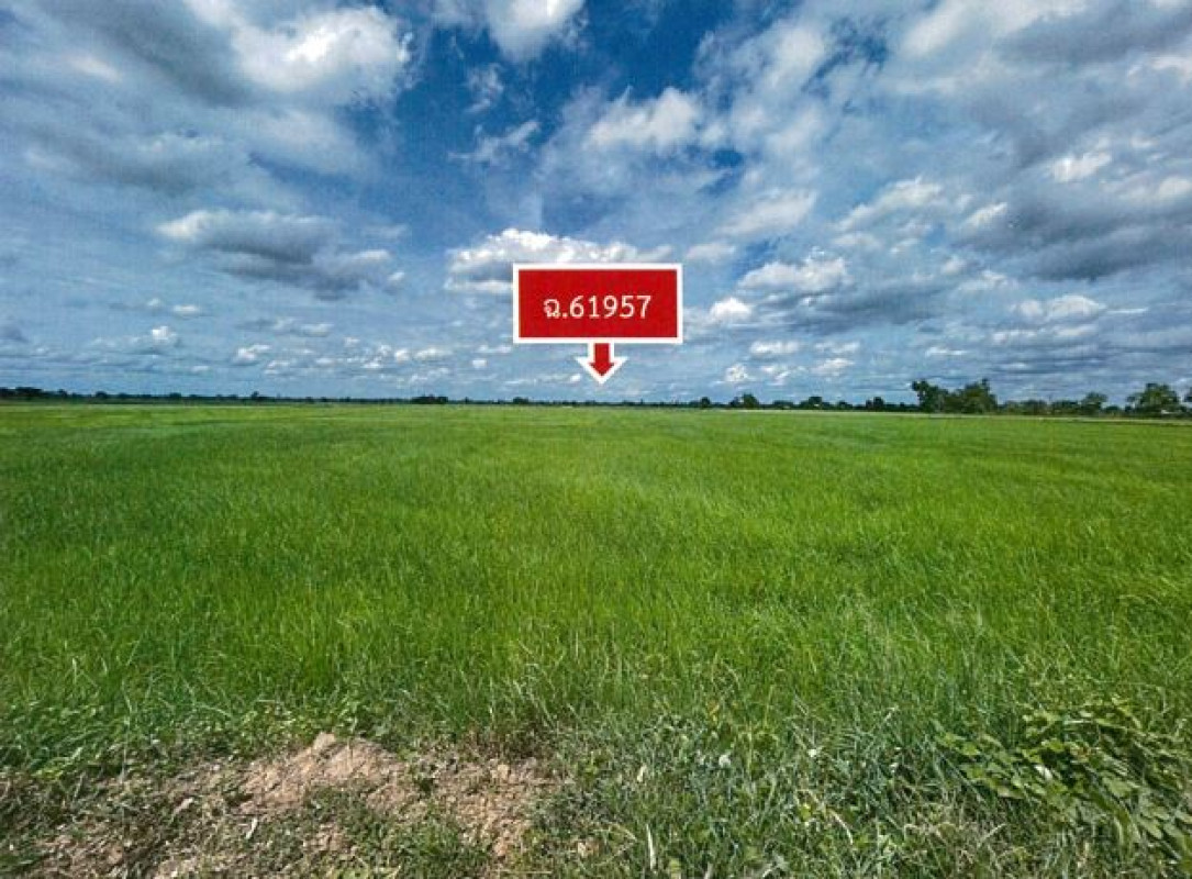 ที่ดินเปล่า ร้อยเอ็ด เสลภูมิ นางาม 175230