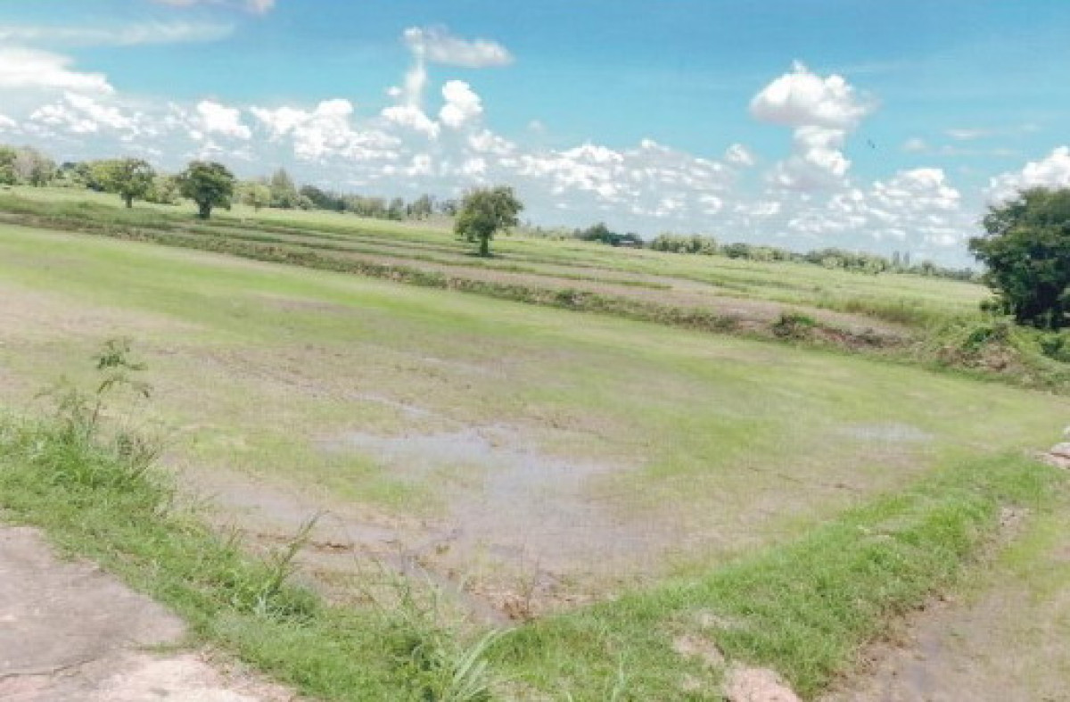 ที่ดินเปล่า ร้อยเอ็ด เสลภูมิ นางาม 2539680