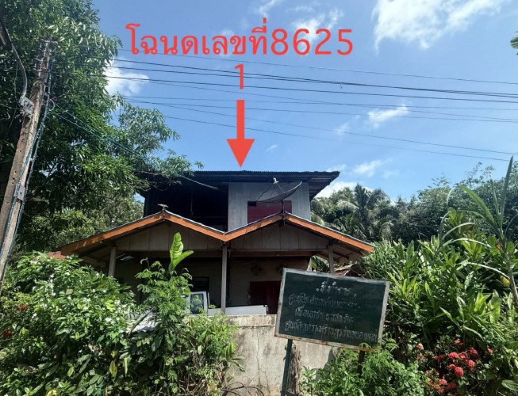 บ้านเดี่ยว ร้อยเอ็ด พนมไพร โคกสว่าง 496150