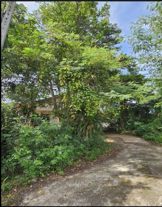 บ้านเดี่ยว ปราจีนบุรี เมืองปราจีนบุรี โคกไม้ลาย 1306200