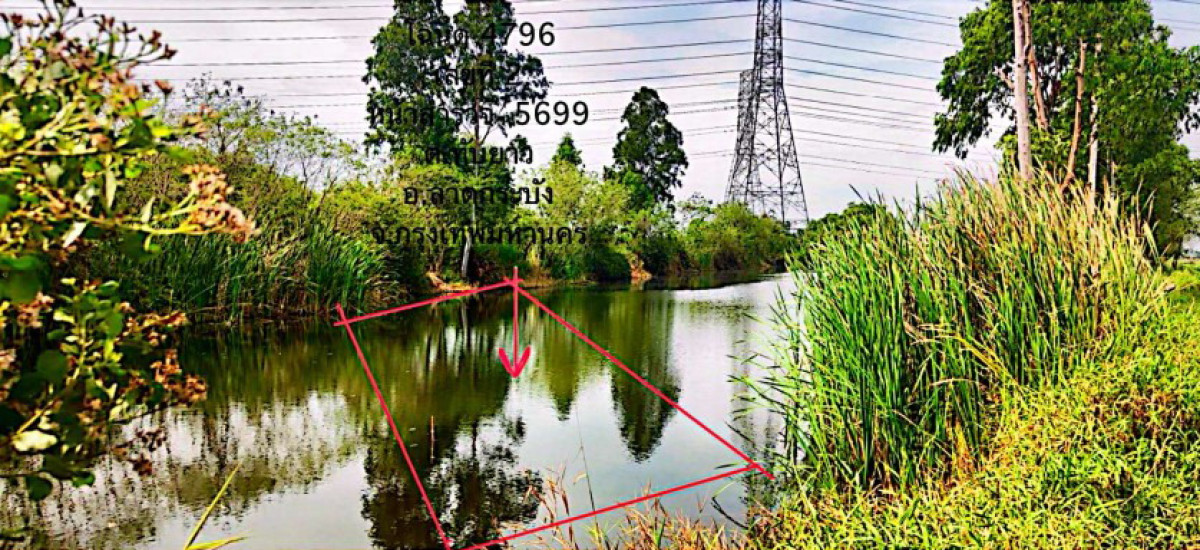 ที่ดินเปล่า กรุงเทพมหานคร ลาดกระบัง ขุมทอง 372500