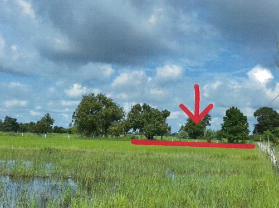 ที่ดินเปล่า ร้อยเอ็ด จตุรพักตรพิมาน ดงแดง 151000