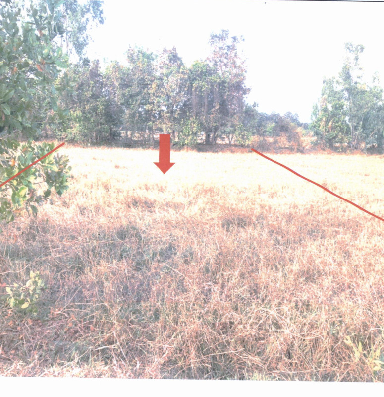 ที่ดินเปล่า อุบลราชธานี เมืองอุบลราชธานี ปะอาว 40000