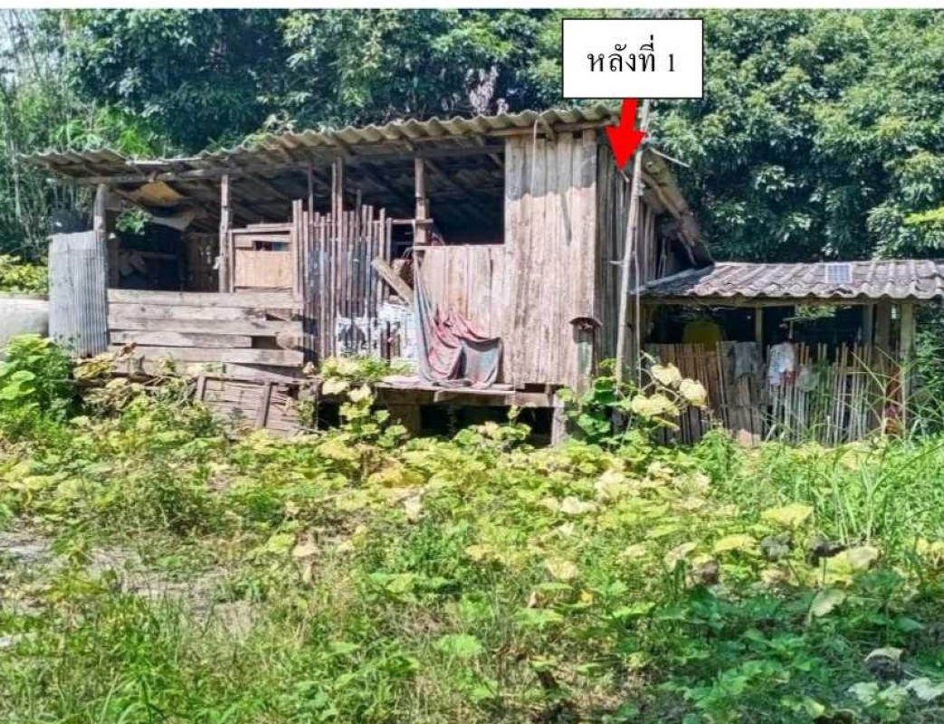 บ้านเดี่ยว พะเยา ภูกามยาว ห้วยแก้ว 347103