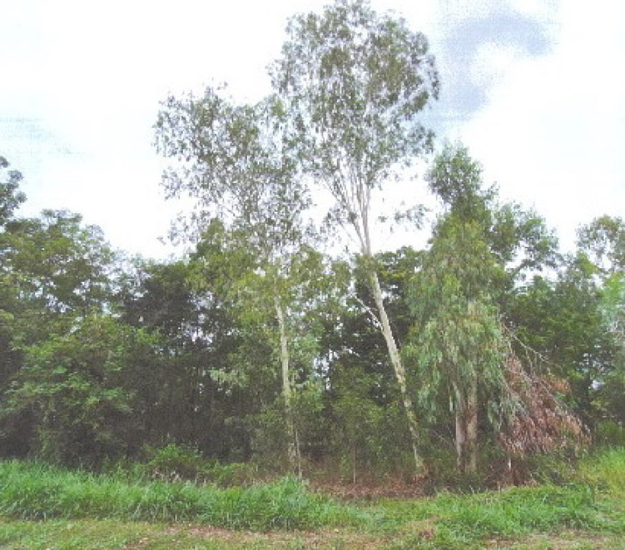 ที่ดินเปล่า ขอนแก่น น้ำพอง กุดน้ำใส 400000