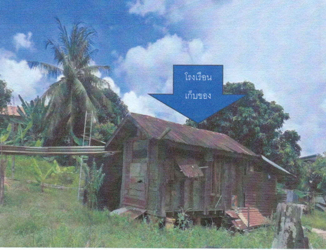 บ้านเดี่ยว เลย เมืองเลย น้ำหมาน 216800