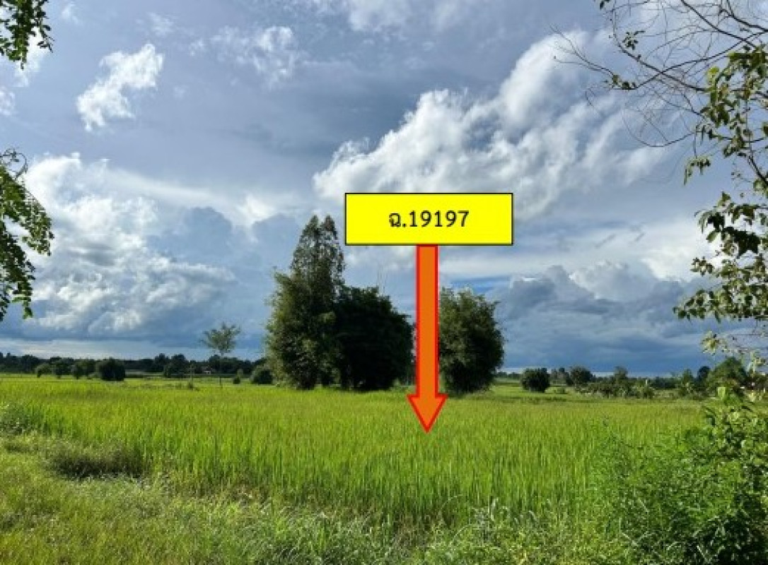 ที่ดินเปล่า กาฬสินธุ์ กุฉินารายณ์ จุมจัง 680000