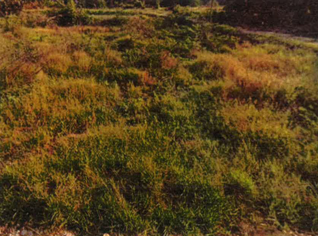 ที่ดินเปล่า สระบุรี วิหารแดง วิหารแดง 100000