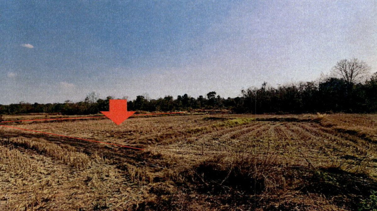 Residential land/lot Lampang Mae Phrik Mae Pu 282230