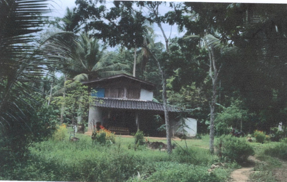 บ้านเดี่ยว ชุมพร เมืองชุมพร ตากแดด 576360