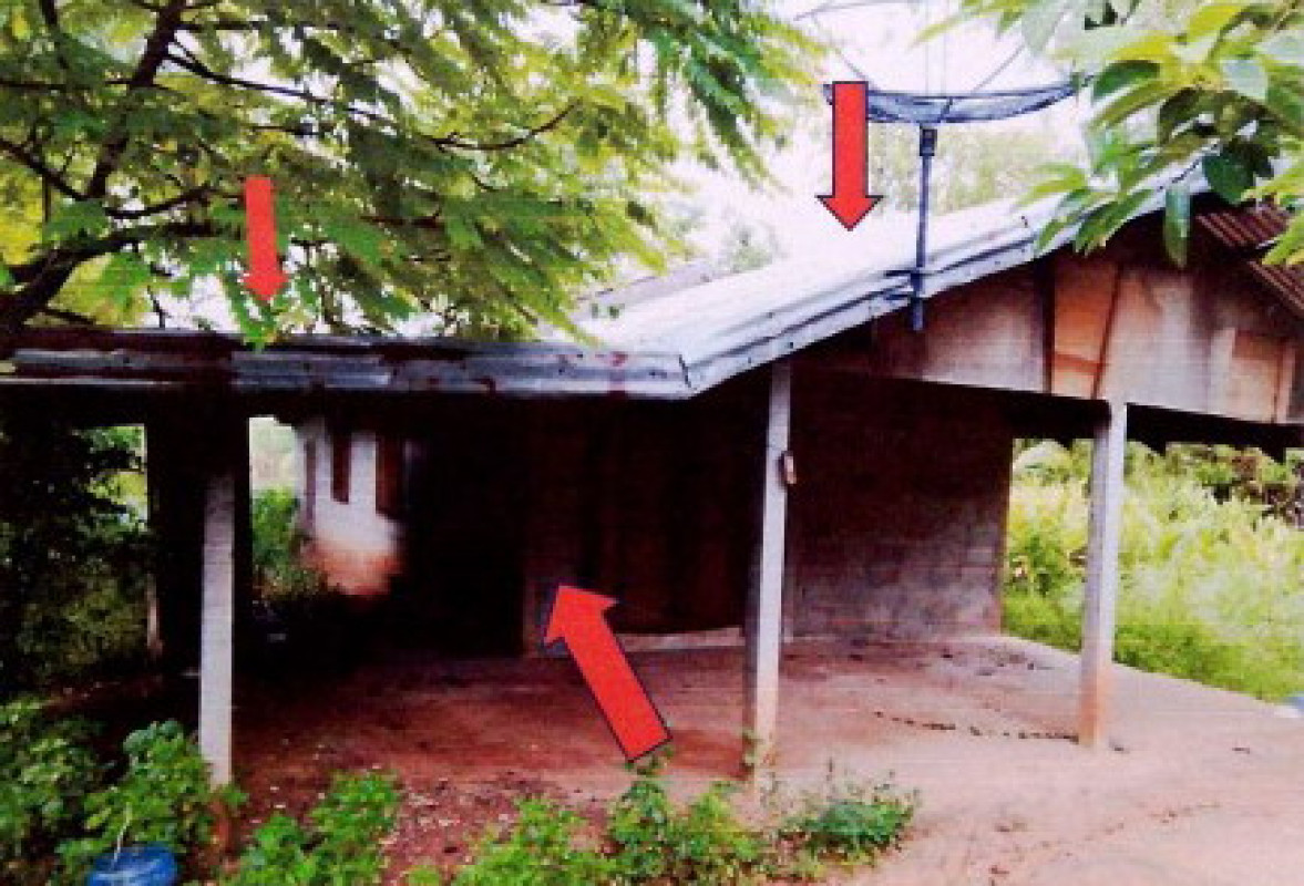 บ้านเดี่ยว กาฬสินธุ์ หนองกุงศรี เสาเล้า 266500