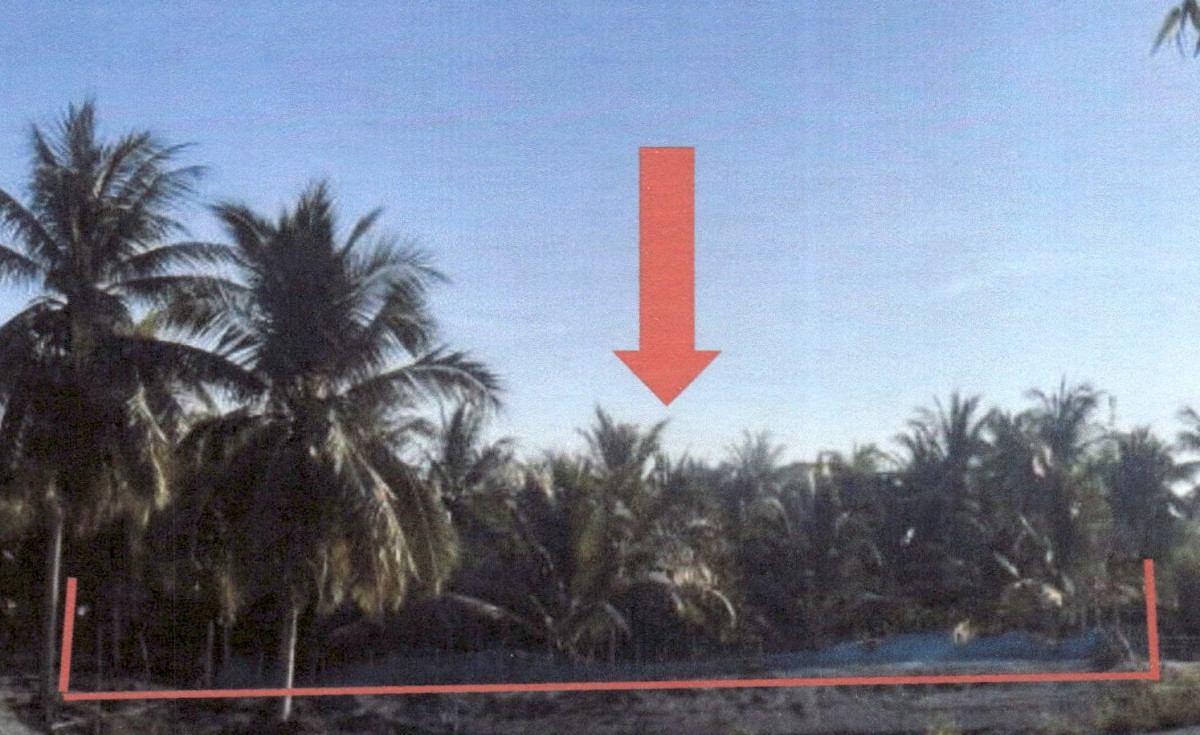 ที่ดินเปล่า ปัตตานี ยะหริ่ง แหลมโพธิ์ 76960