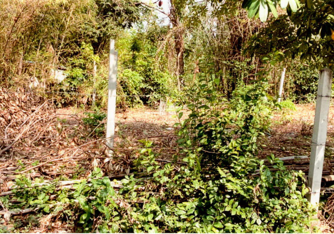 ที่ดินเปล่า ร้อยเอ็ด เกษตรวิสัย บ้านฝาง 138450