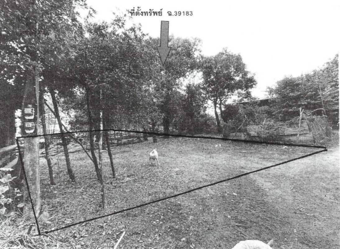 ที่ดินเปล่า ตาก เมืองตาก วังประจบ 68000