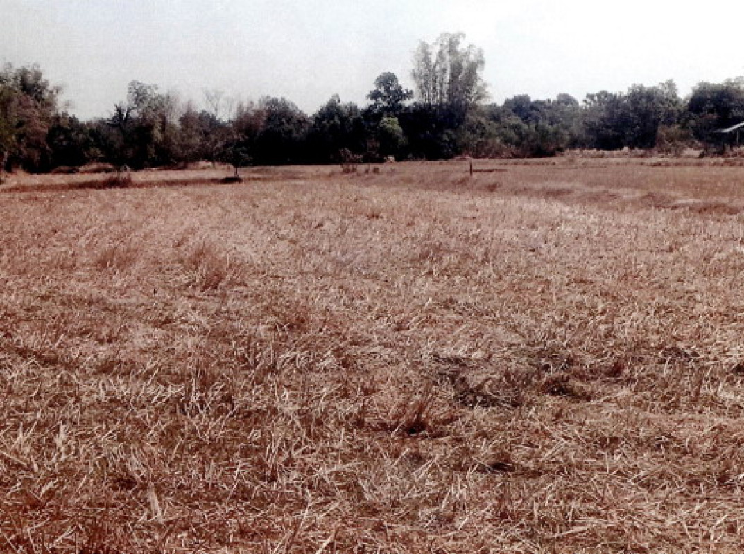 ที่ดินเปล่า อุบลราชธานี เขื่องใน หนองเหล่า 182520