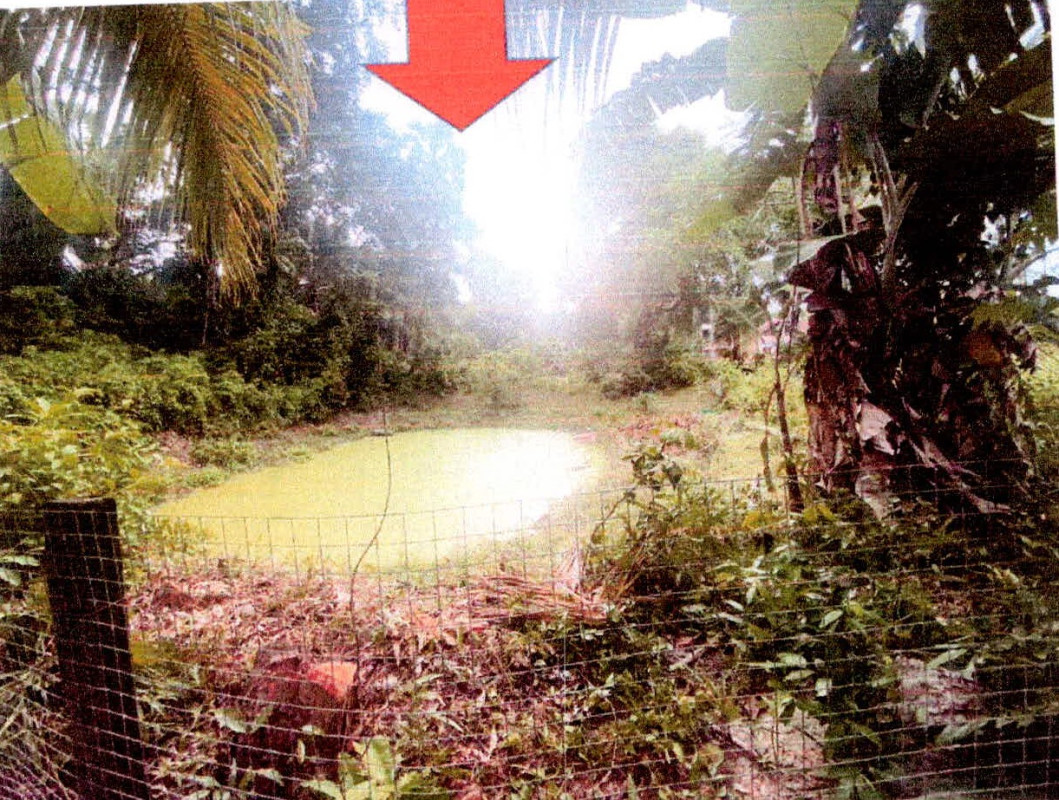 ที่ดินเปล่า ปัตตานี ปะนาเระ บ้านน้ำบ่อ 9920