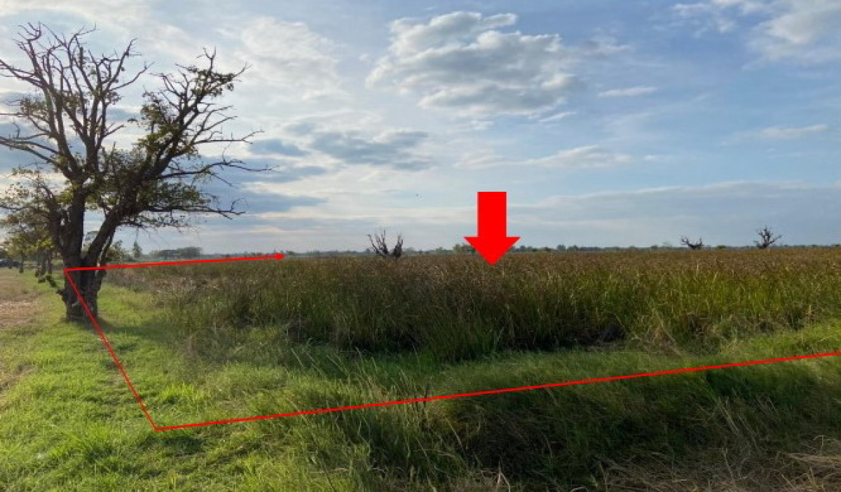 ที่ดินเปล่า ร้อยเอ็ด พนมไพร ชานุวรรณ 928200