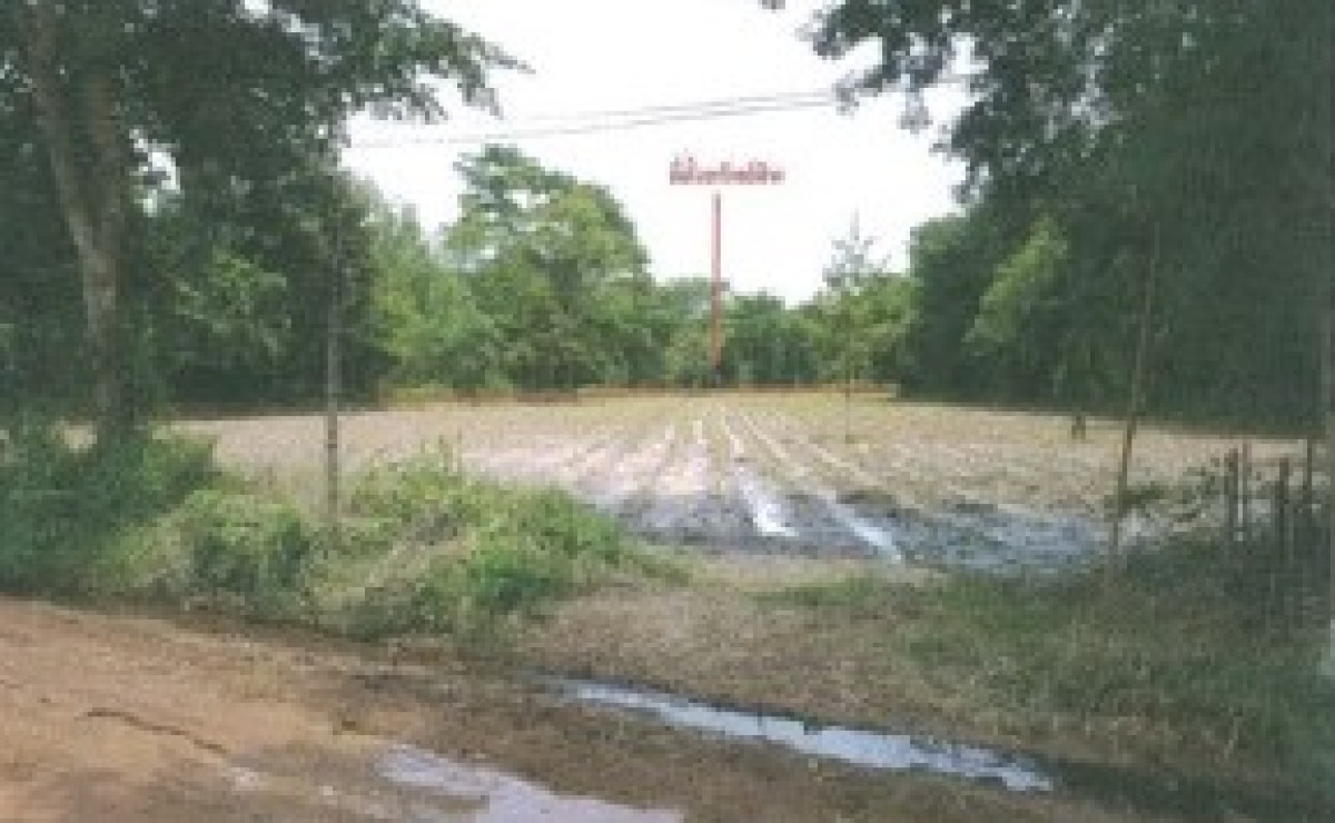 ที่ดินเปล่า กาฬสินธุ์ ร่องคำ สามัคคี 141000