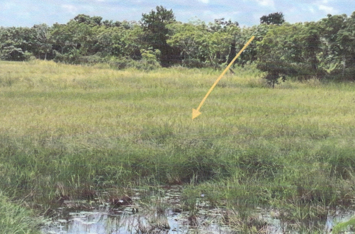 Residential land/lot Pattani Mayo Sakho Tai 61600