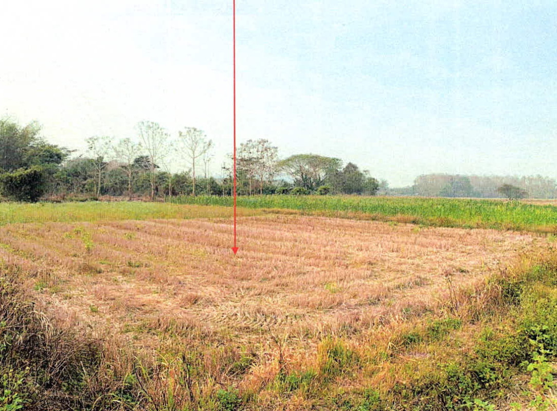 ที่ดินเปล่า ลำปาง งาว หลวงใต้ 209700