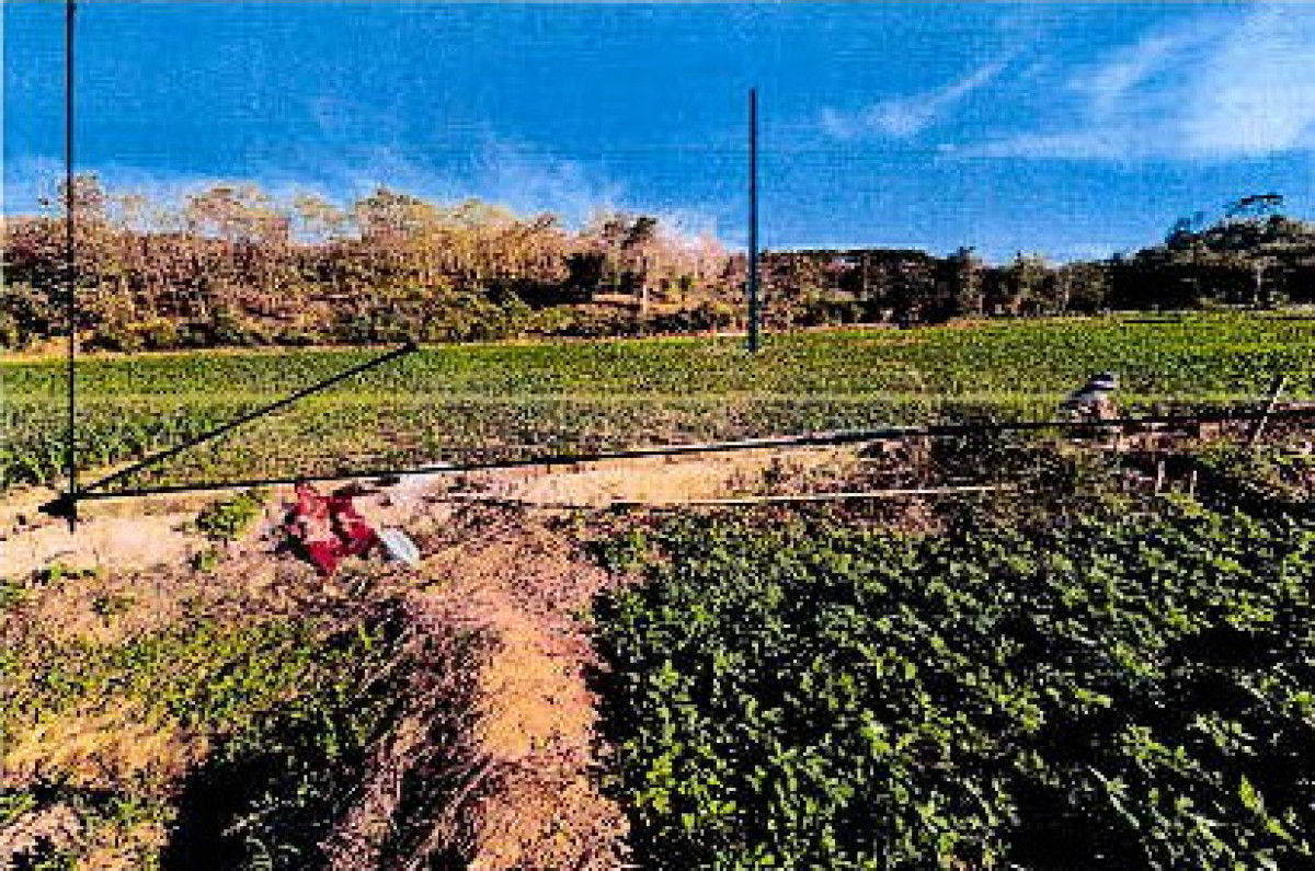 ที่ดินเปล่า ลำปาง แจ้ห่ม เมืองมาย 46800