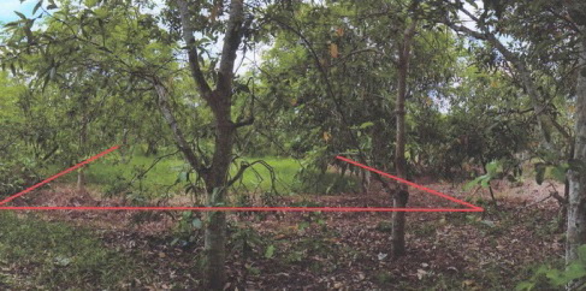 ที่ดินเปล่า ลำพูน บ้านโฮ่ง เหล่ายาว 331200