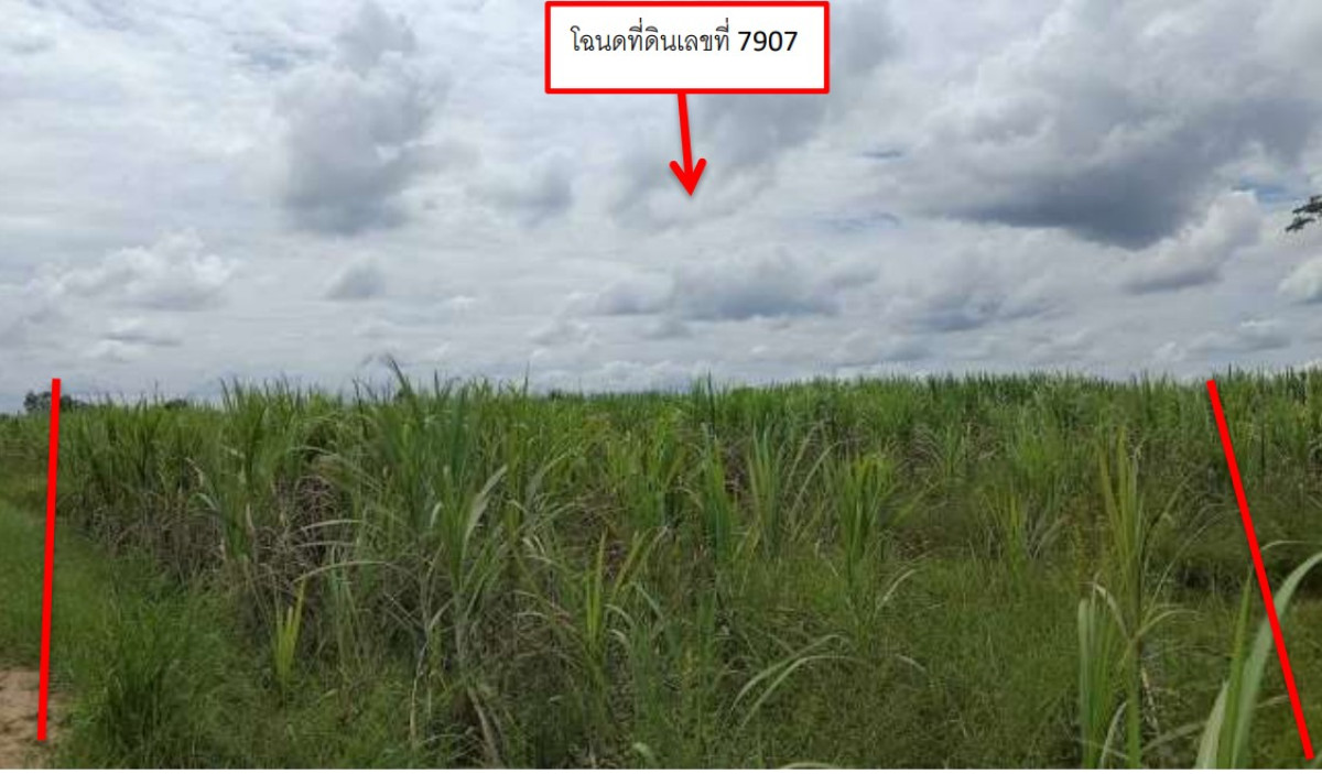 ที่ดินเปล่า ร้อยเอ็ด โพนทอง นาอุดม 215000