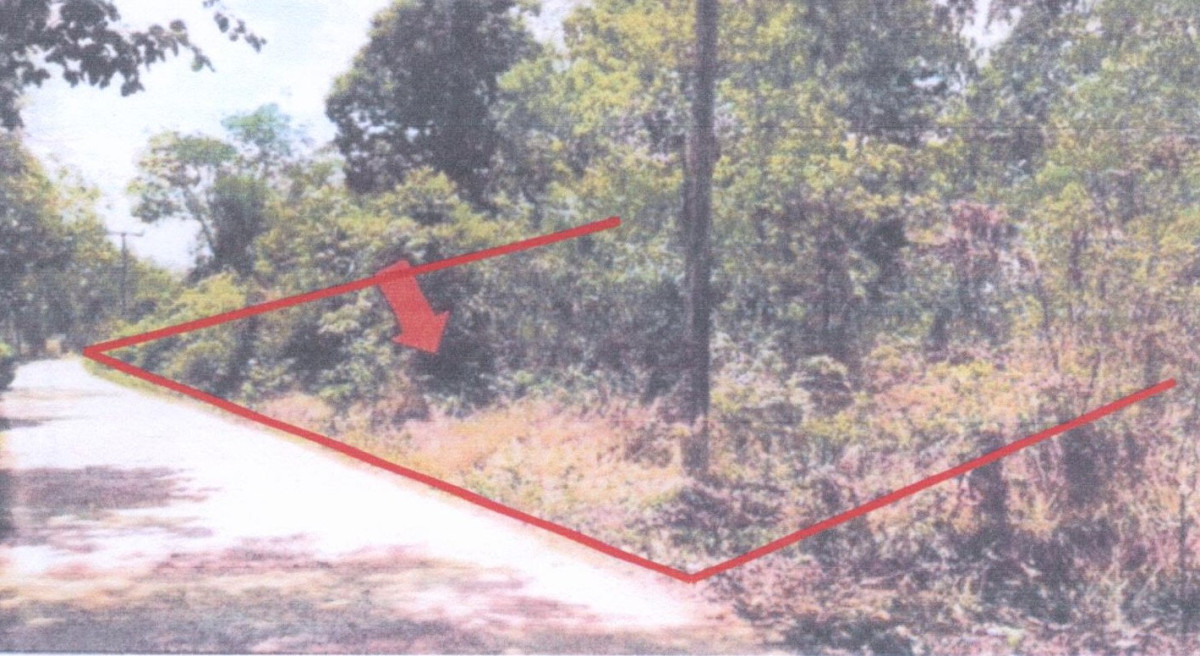 ที่ดินเปล่า อุบลราชธานี พิบูลมังสาหาร ระเว 37200