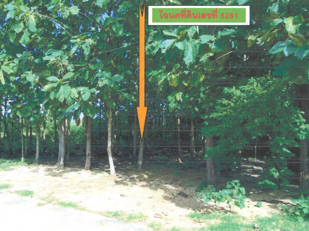 ที่ดินเปล่า ลำปาง สบปราบ สบปราบ 234100