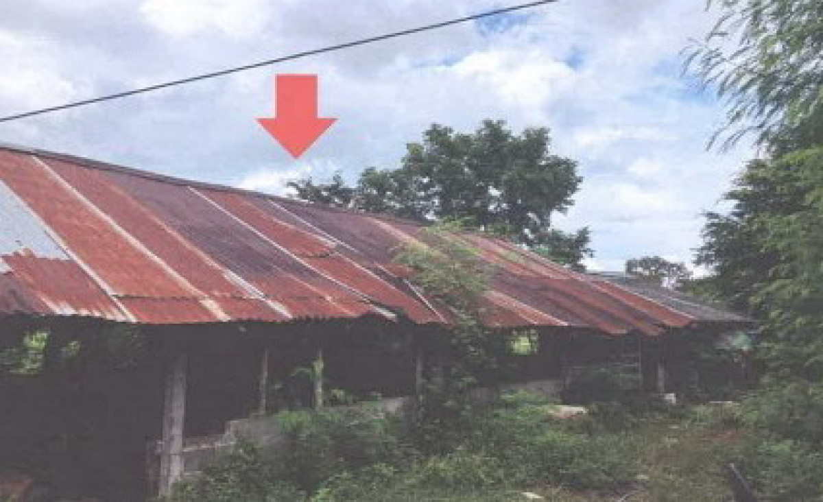 บ้านเดี่ยว ร้อยเอ็ด จตุรพักตรพิมาน อีง่อง 565600