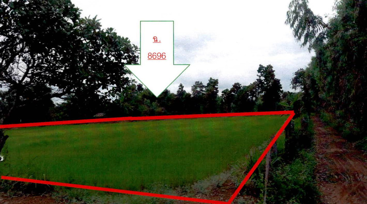 ที่ดินเปล่า อำนาจเจริญ ปทุมราชวงศา ลือ 514500