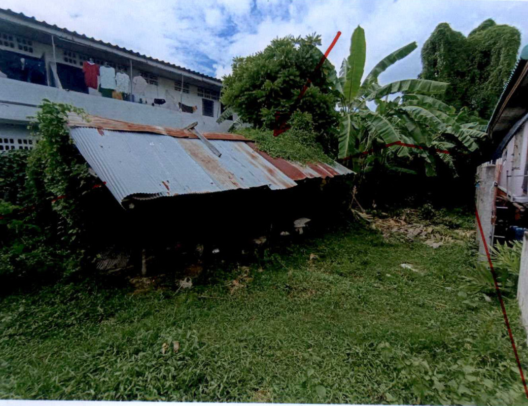 ที่ดินเปล่า เพชรบุรี เมืองเพชรบุรี ต้นมะม่วง 330000