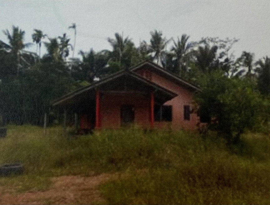 บ้านเดี่ยว ชุมพร พะโต๊ะ ปังหวาน 1105000