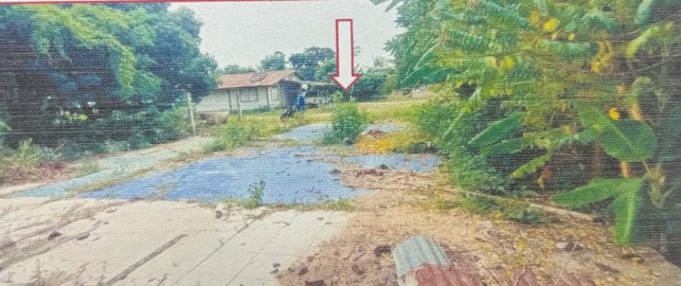 ที่ดินเปล่า บ้านหนองอุดม ชัยภูมิ บ้านเขว้า บ้านเขว้า 250000