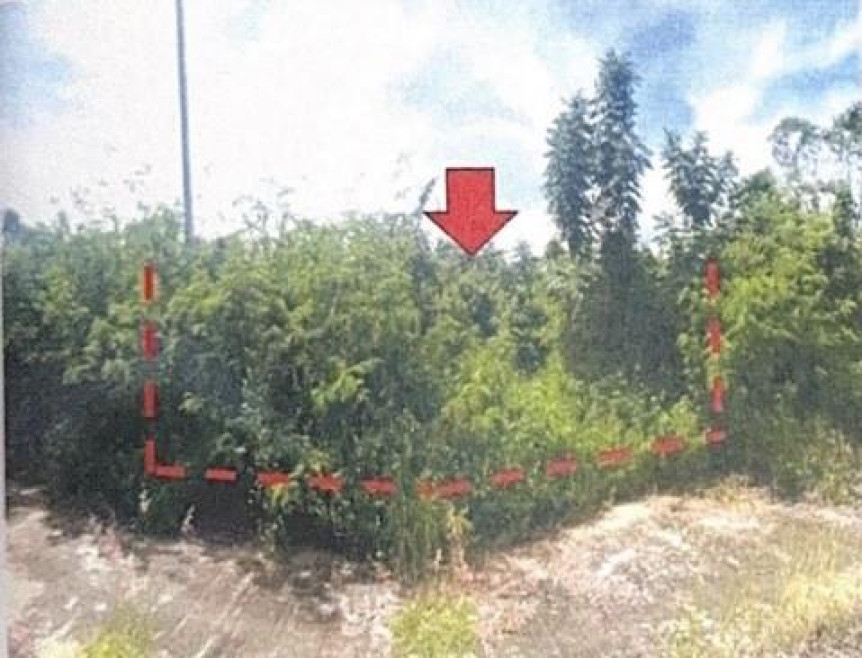 ที่ดินเปล่า จอมทองฮิลล์ เชียงใหม่ จอมทอง แม่สอย 782000