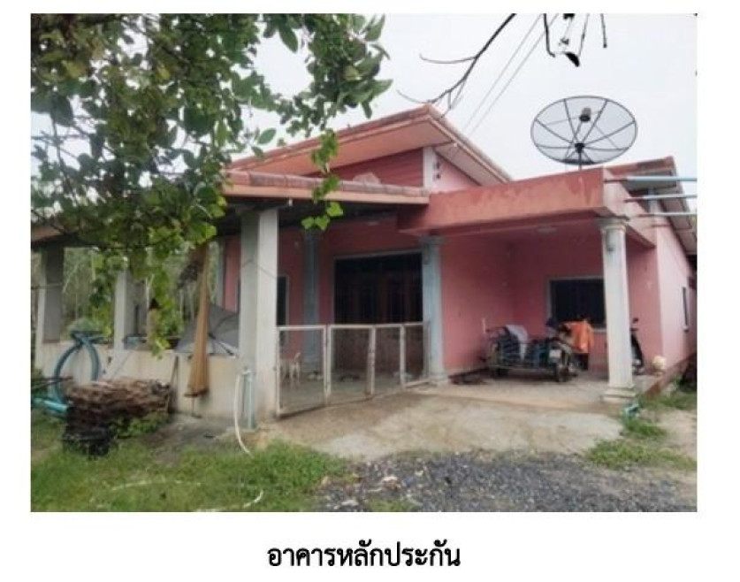บ้านเดี่ยว พัทลุง บางแก้ว ท่ามะเดื่อ 1065000
