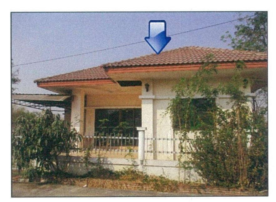 บ้านเดี่ยว โรจนะเรสซิเดนซ์ พระนครศรีอยุธยา อุทัย อุทัย 1530000