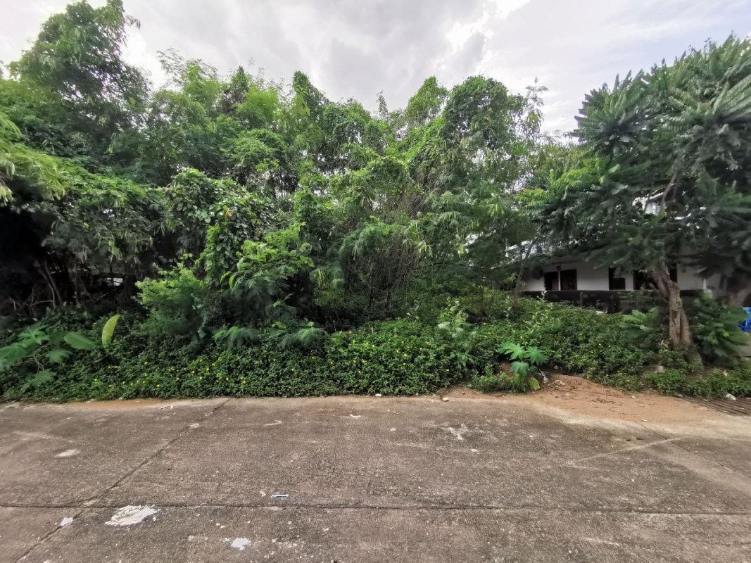 ที่ดินเปล่า อุบลราชธานี เมืองอุบลราชธานี ในเมือง 2750000