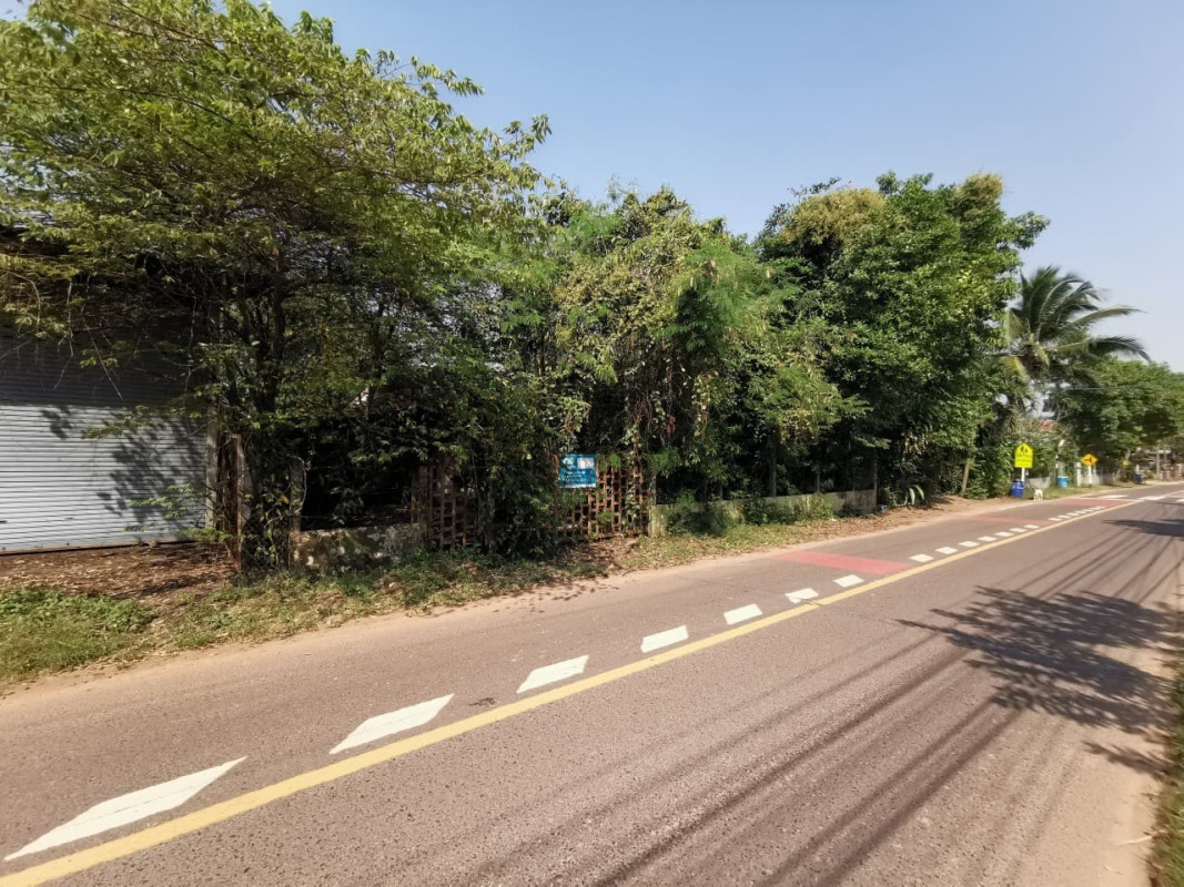 บ้านเดี่ยว อุบลราชธานี ตระการพืชผล ไหล่ทุ่ง 699000