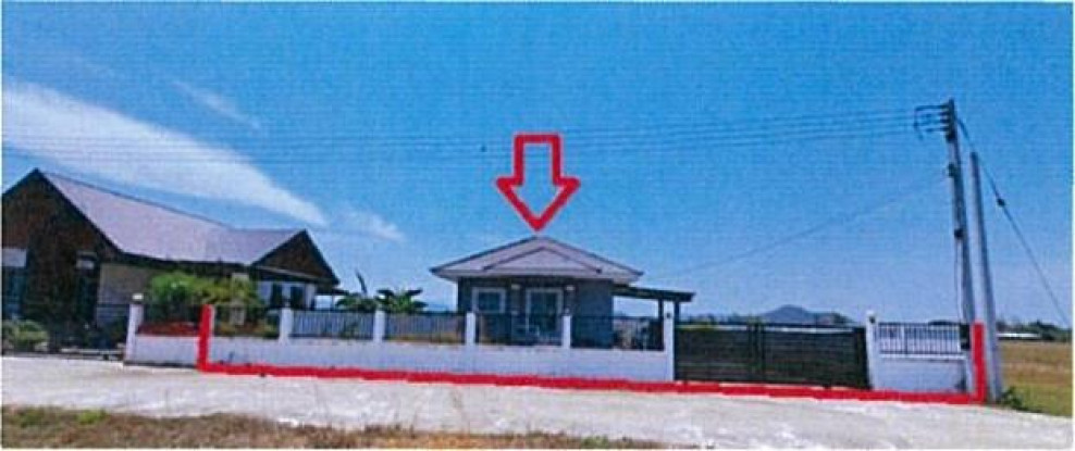 อื่นๆ ลำพูน เมืองลำพูน ศรีบัวบาน 2000000