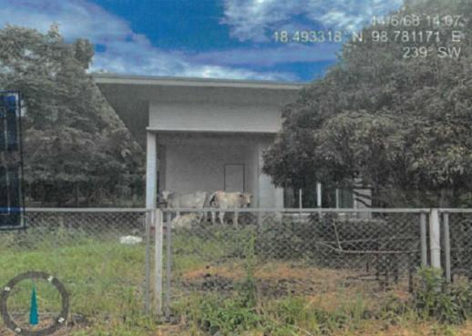 Single house Chiang Mai Doi Lo Doi Lo 1750000