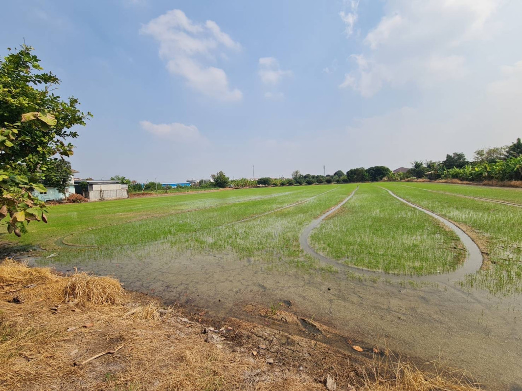 ที่ดินเปล่า นนทบุรี บางบัวทอง พิมลราช 30000000