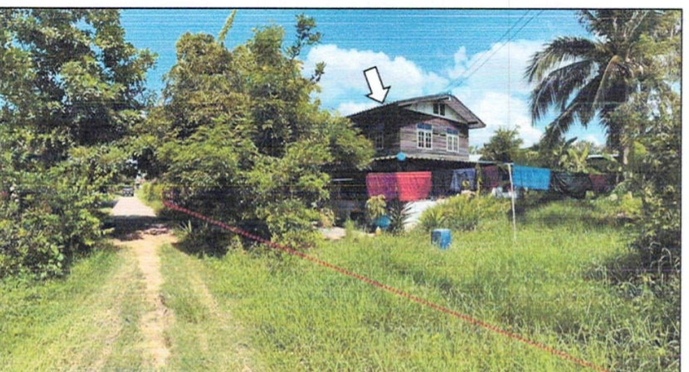 บ้านเดี่ยว บุรีรัมย์ ลำปลายมาศ หนองบัวโคก 730000