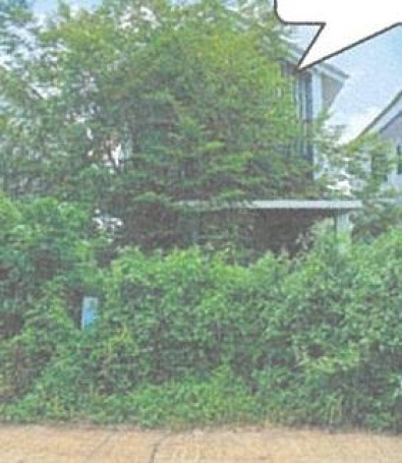 บ้านเดี่ยว เดอะ ซันฟลาวเวอร์ ปราจีนบุรี ศรีมหาโพธิ ศรีมหาโพธิ 2250000