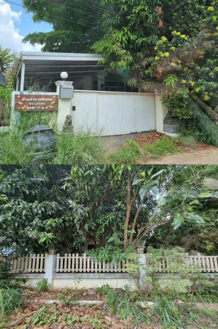 บ้านเดี่ยว น้ำผึ้งแลนด์ 5 นครราชสีมา เมืองนครราชสีมา หนองบัวศาลา 2250000