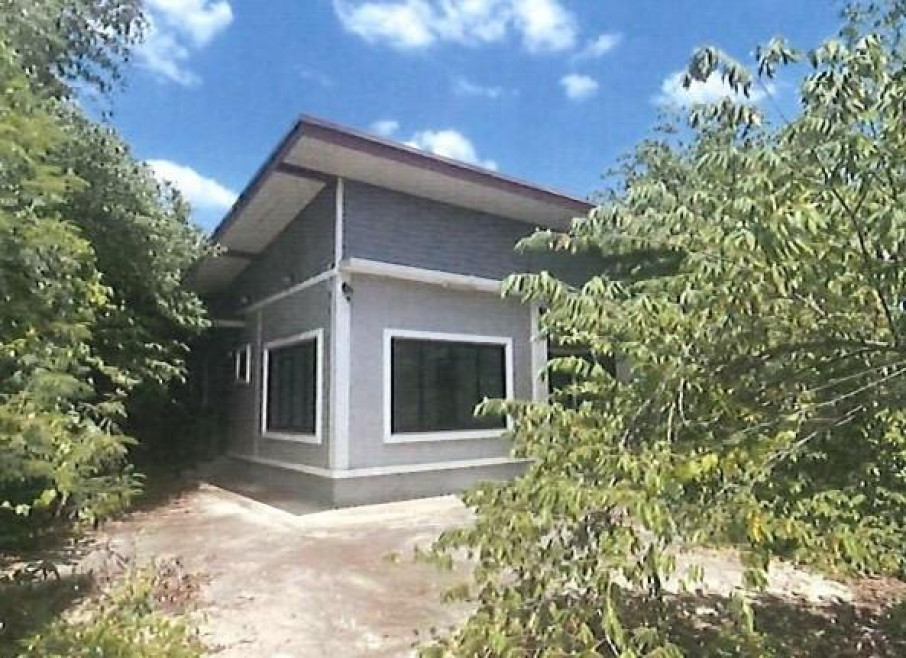บ้านเดี่ยว ฉะเชิงเทรา แปลงยาว วังเย็น 2440000