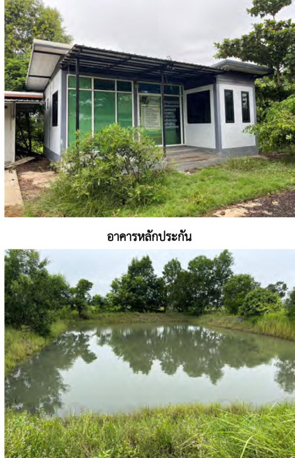 บ้านเดี่ยว บุรีรัมย์ นางรอง ทรัพย์พระยา 1315000